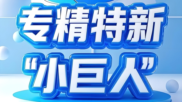 专精特新小巨人企业申报